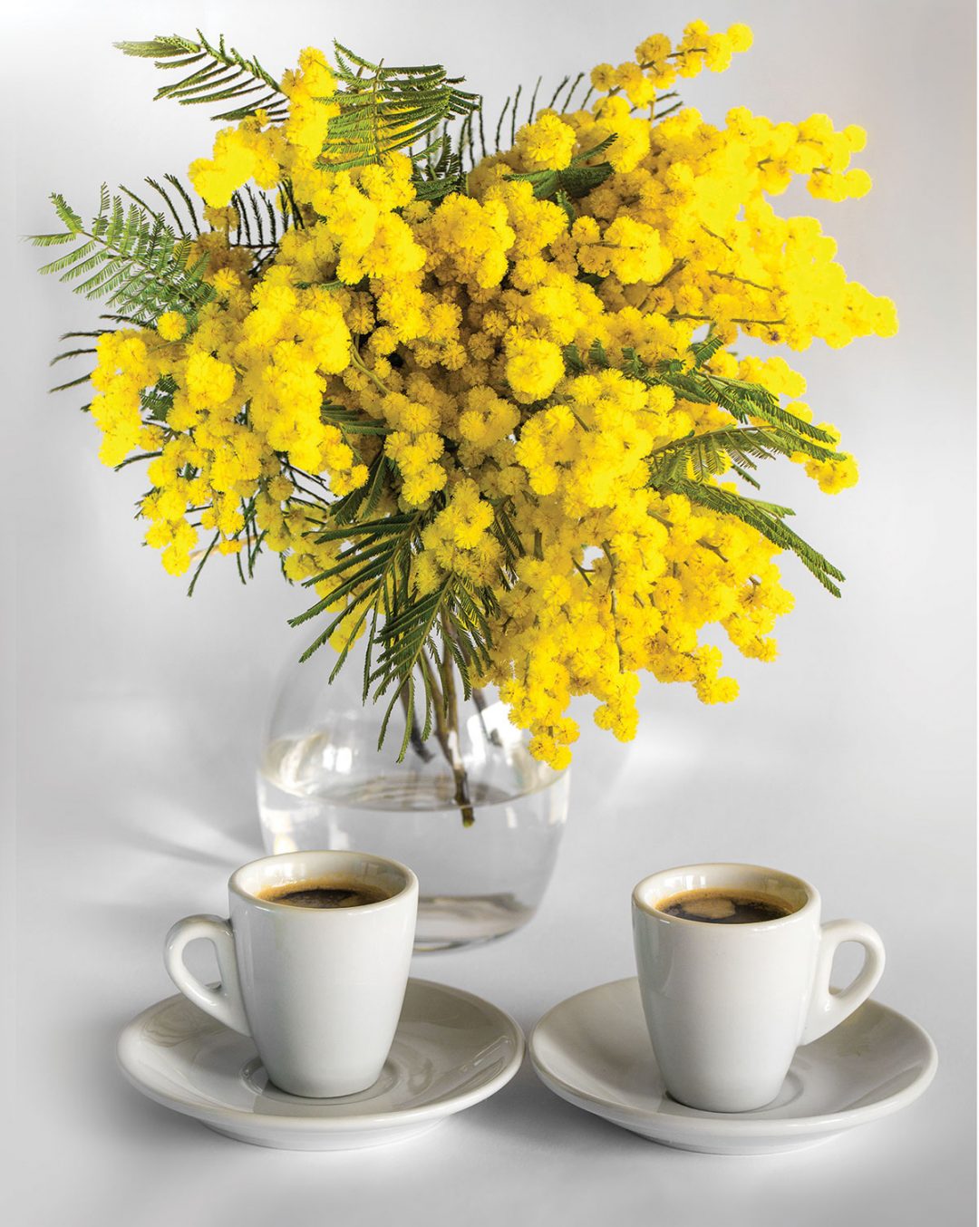 Mimosa Coffee Morning – World Cancer Day – 3rd Feb 2023