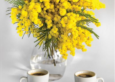 Mimosa Coffee Morning – 2nd February 2024